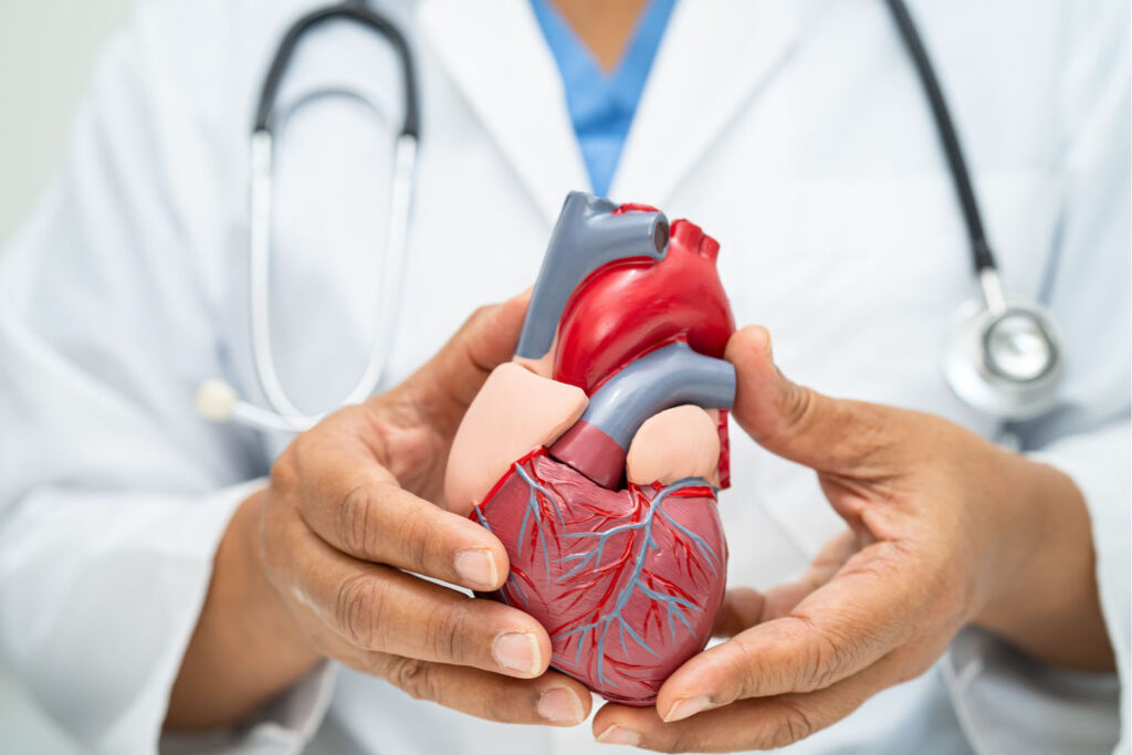 https://medicoanalytica.eu/cardiovascular-disease-risk-factors-in-homeless-people/